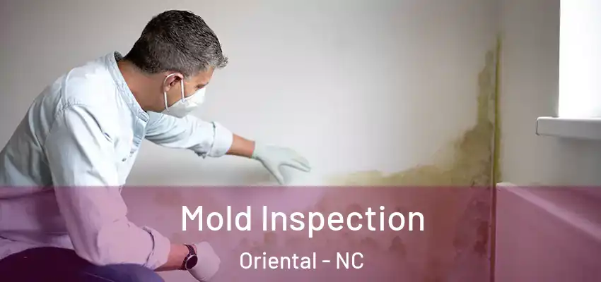  Mold Inspection Oriental - NC