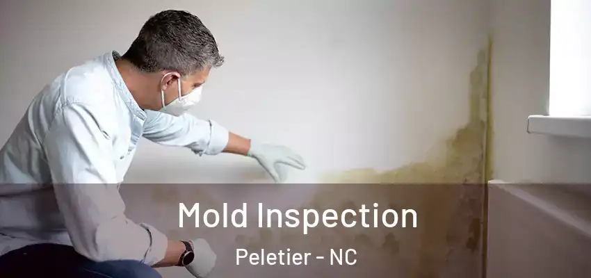  Mold Inspection Peletier - NC