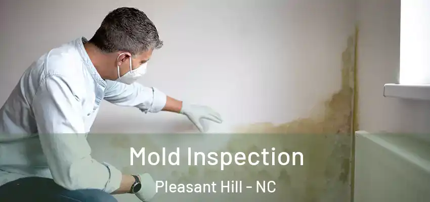  Mold Inspection Pleasant Hill - NC
