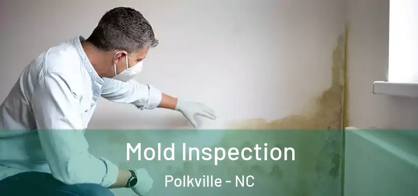 Mold Inspection Polkville - NC
