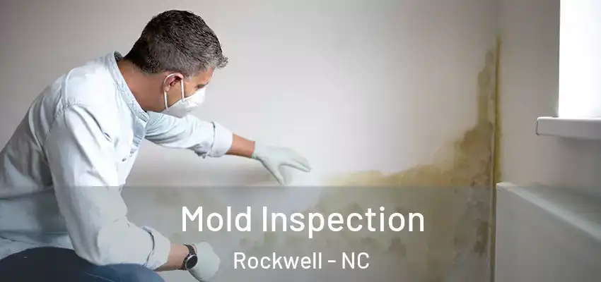 Mold Inspection Rockwell - NC