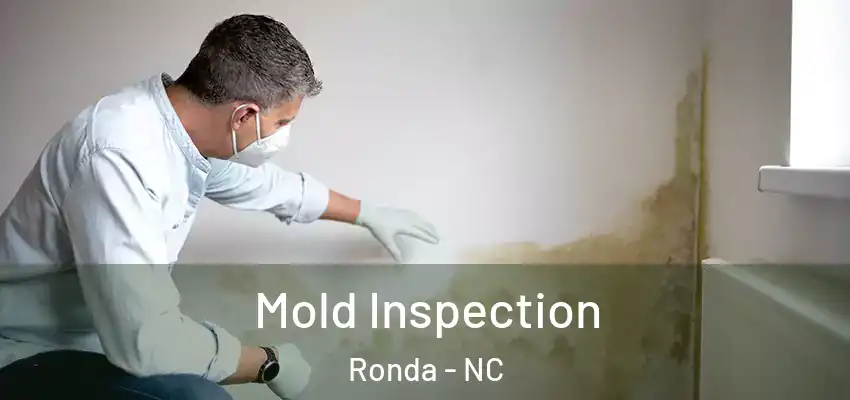  Mold Inspection Ronda - NC