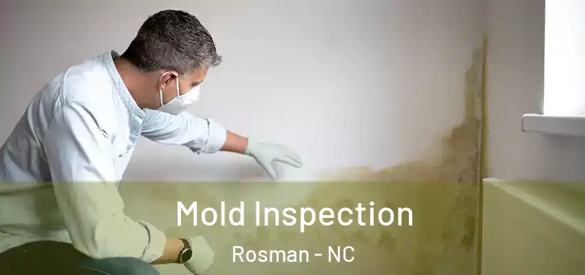  Mold Inspection Rosman - NC