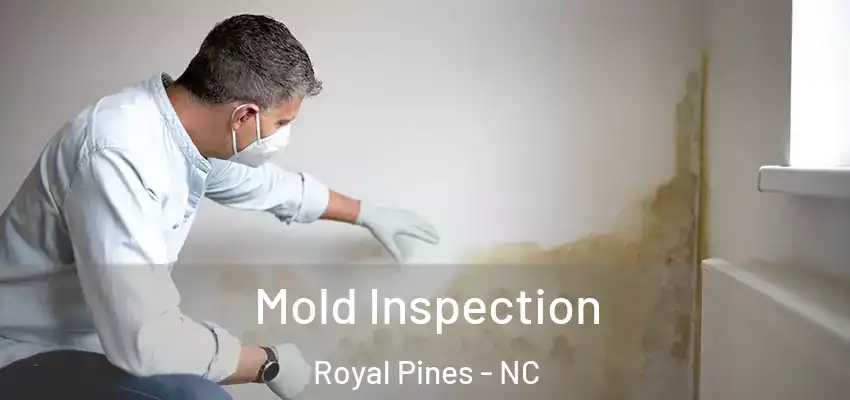 Mold Inspection Royal Pines - NC