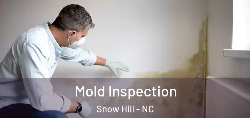  Mold Inspection Snow Hill - NC