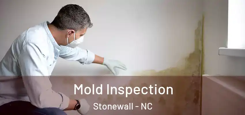 Mold Inspection Stonewall - NC