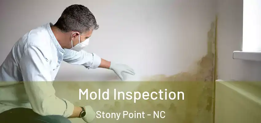 Mold Inspection Stony Point - NC