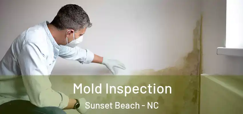  Mold Inspection Sunset Beach - NC
