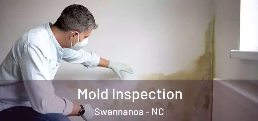  Mold Inspection Swannanoa - NC