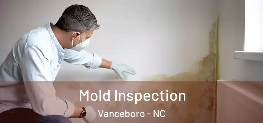  Mold Inspection Vanceboro - NC