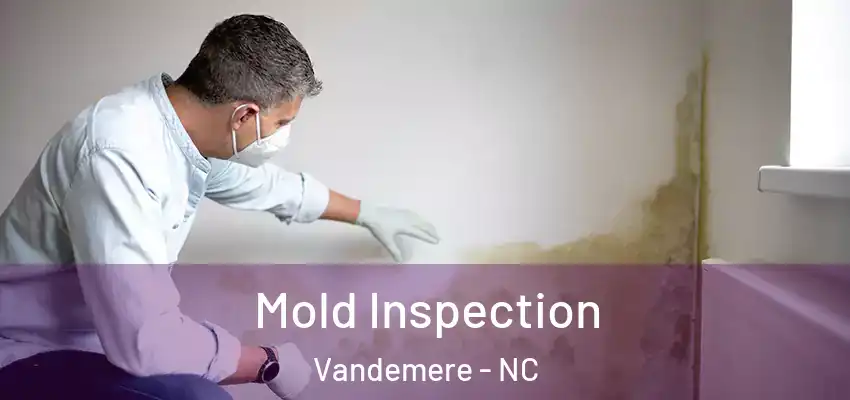 Mold Inspection Vandemere - NC