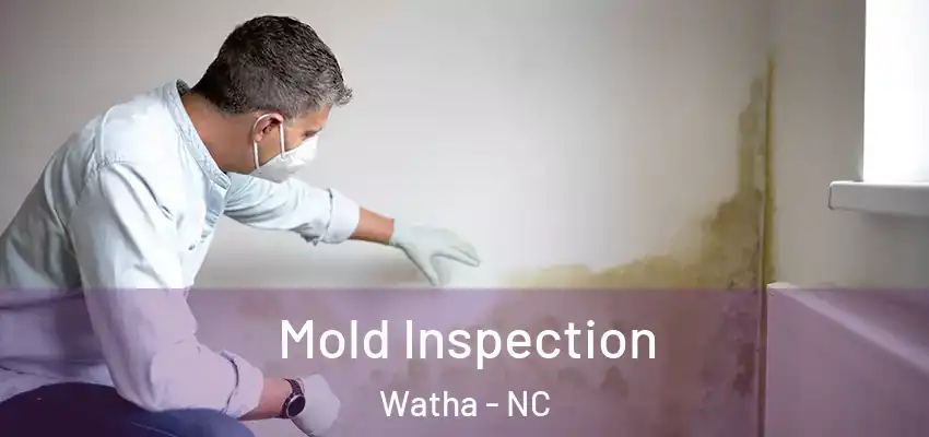  Mold Inspection Watha - NC