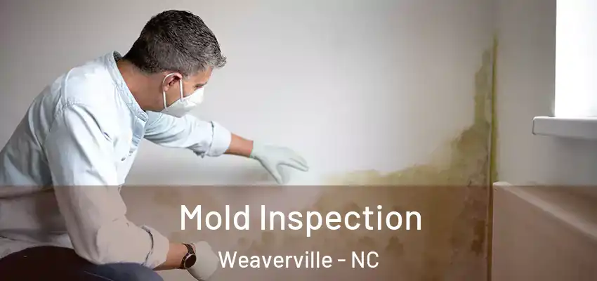  Mold Inspection Weaverville - NC