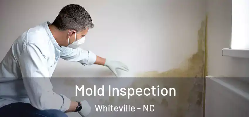  Mold Inspection Whiteville - NC