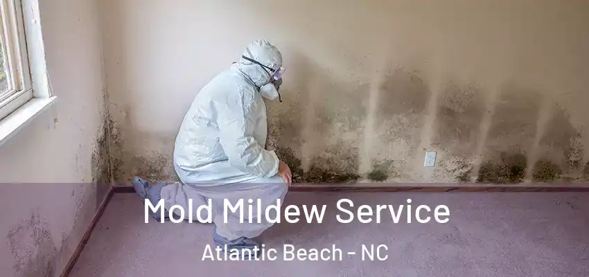  Mold Mildew Service Atlantic Beach - NC