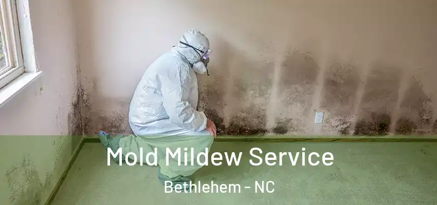 Mold Mildew Service Bethlehem - NC