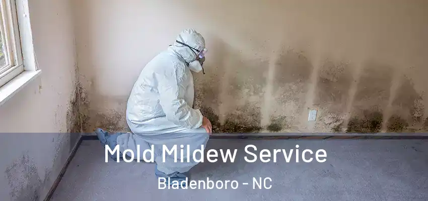 Mold Mildew Service Bladenboro - NC