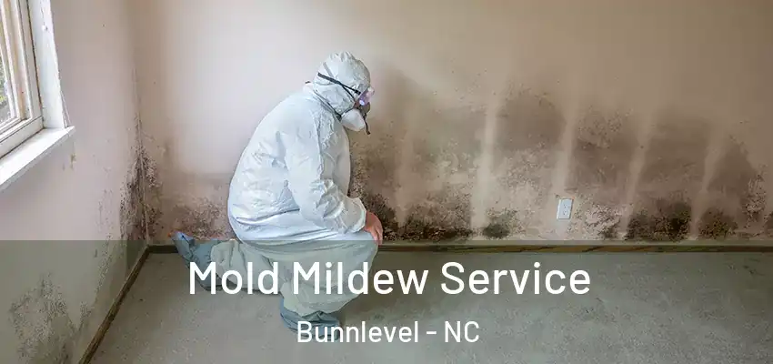 Mold Mildew Service Bunnlevel - NC