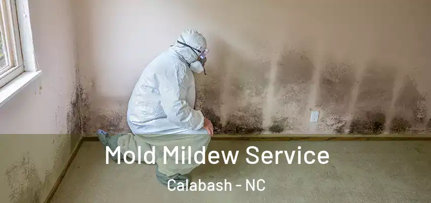  Mold Mildew Service Calabash - NC