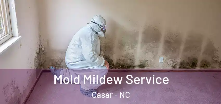  Mold Mildew Service Casar - NC
