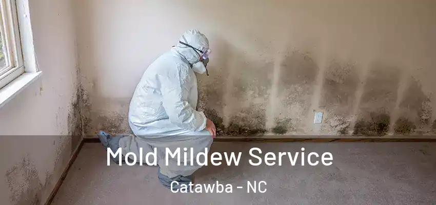  Mold Mildew Service Catawba - NC