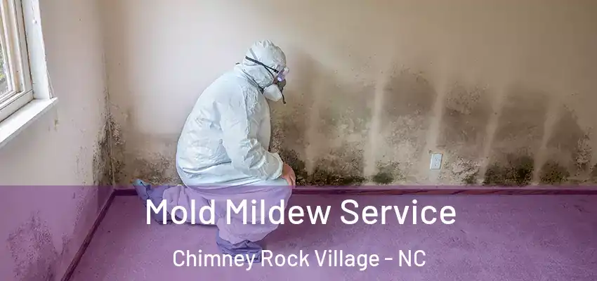  Mold Mildew Service Chimney Rock Village - NC