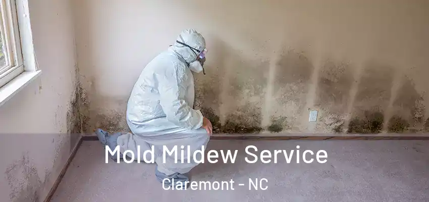 Mold Mildew Service Claremont - NC