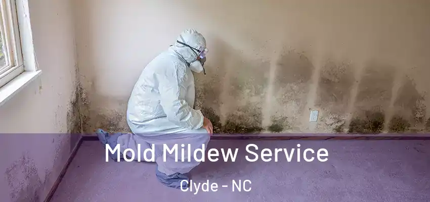  Mold Mildew Service Clyde - NC