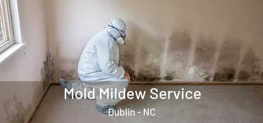 Mold Mildew Service Dublin - NC