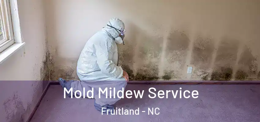  Mold Mildew Service Fruitland - NC