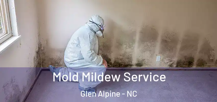  Mold Mildew Service Glen Alpine - NC