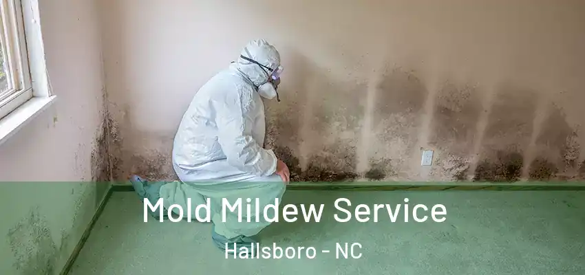 Mold Mildew Service Hallsboro - NC