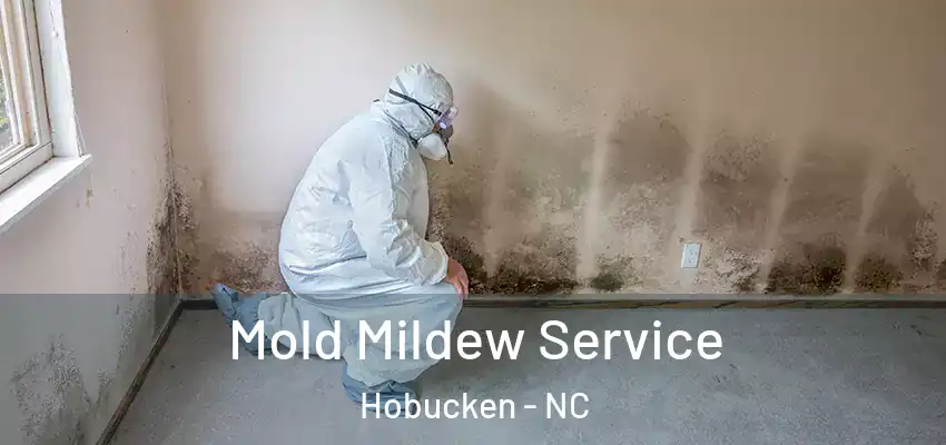  Mold Mildew Service Hobucken - NC