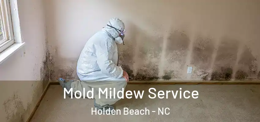  Mold Mildew Service Holden Beach - NC
