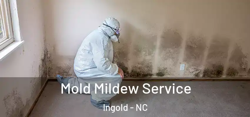  Mold Mildew Service Ingold - NC