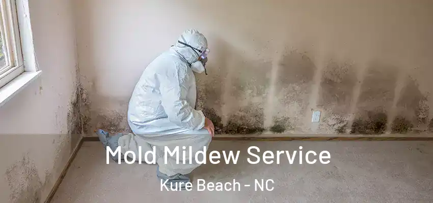  Mold Mildew Service Kure Beach - NC