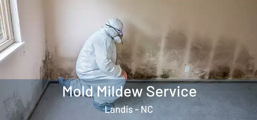 Mold Mildew Service Landis - NC