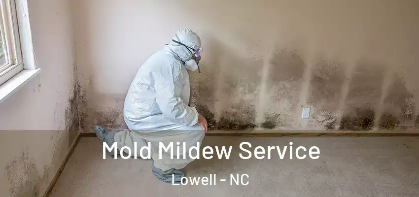  Mold Mildew Service Lowell - NC