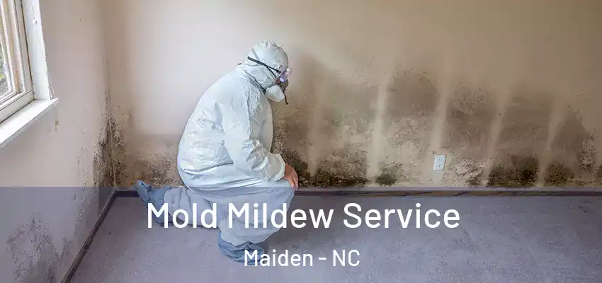  Mold Mildew Service Maiden - NC