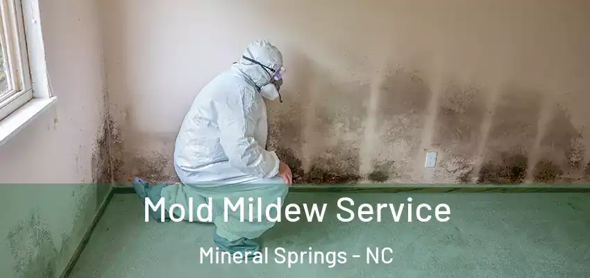  Mold Mildew Service Mineral Springs - NC