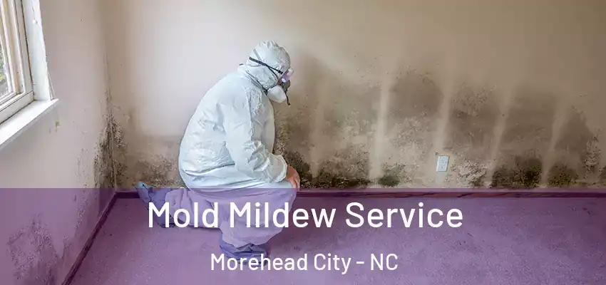 Mold Mildew Service Morehead City - NC