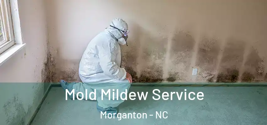  Mold Mildew Service Morganton - NC