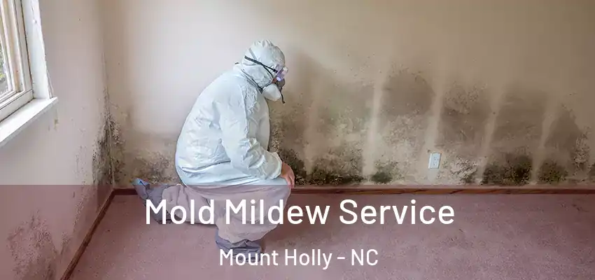 Mold Mildew Service Mount Holly - NC