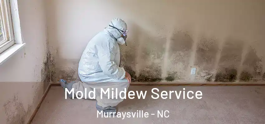  Mold Mildew Service Murraysville - NC