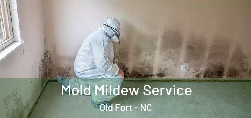  Mold Mildew Service Old Fort - NC