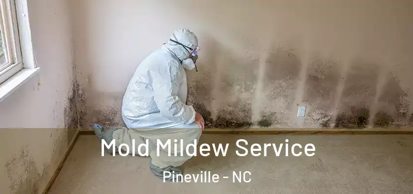  Mold Mildew Service Pineville - NC