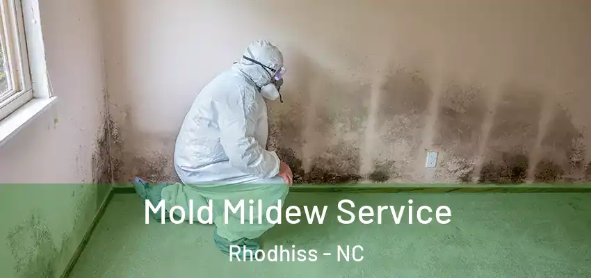 Mold Mildew Service Rhodhiss - NC