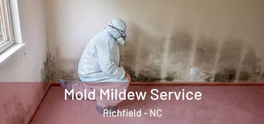 Mold Mildew Service Richfield - NC