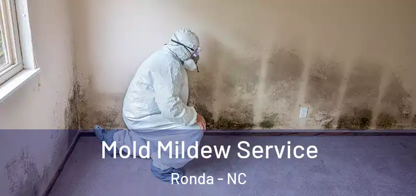 Mold Mildew Service Ronda - NC