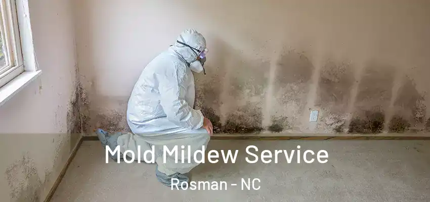  Mold Mildew Service Rosman - NC
